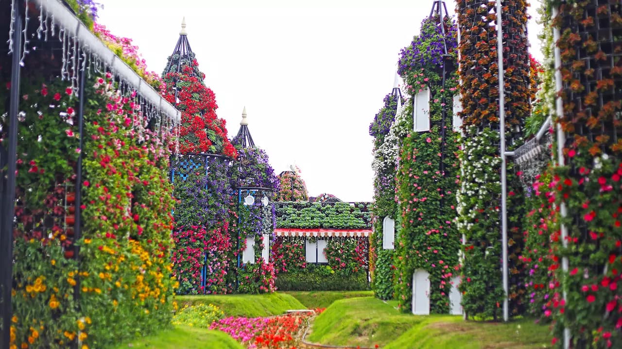 Dubai Miracle Garden - Image 3