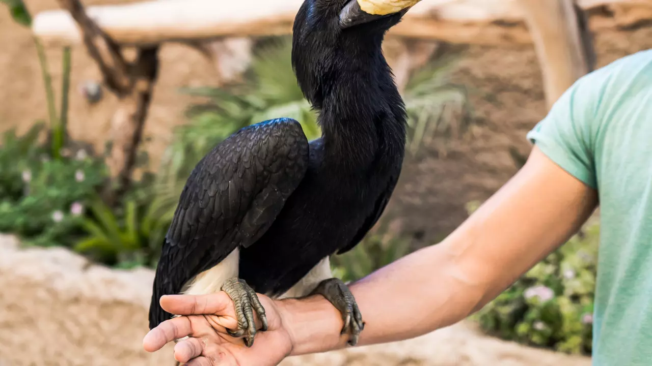 Dubai Safari Park  - Image 3