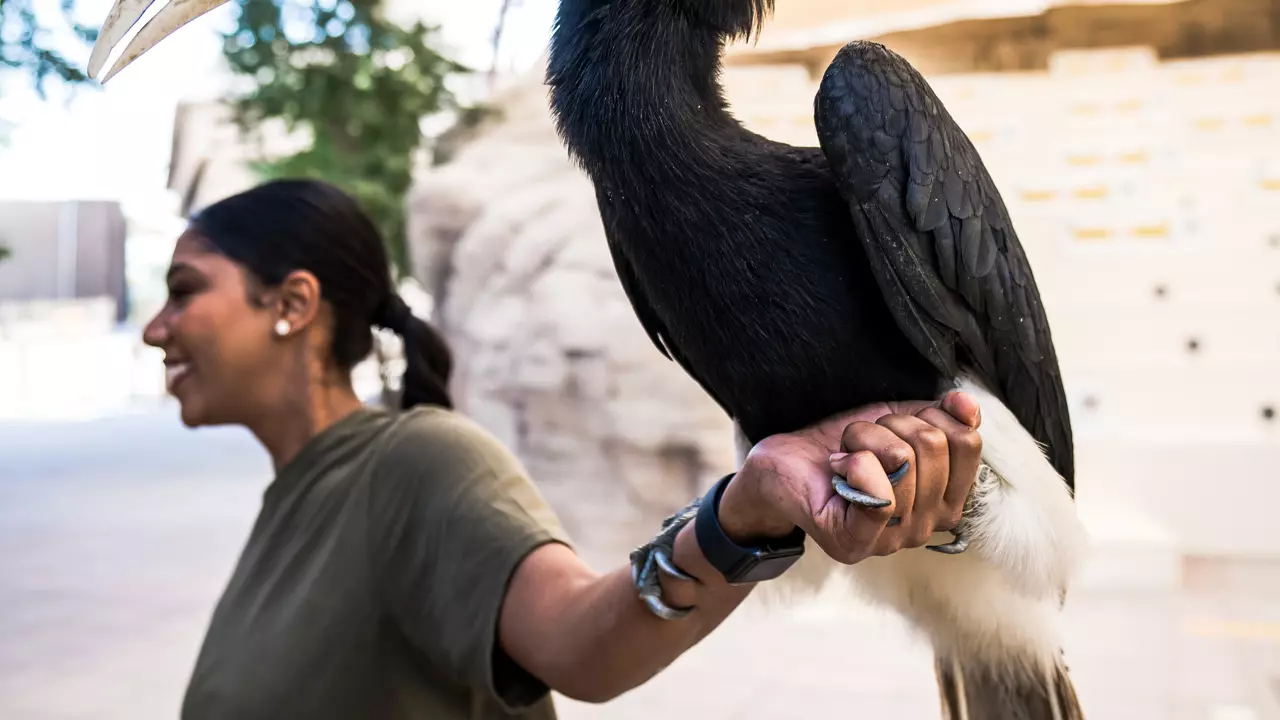 Dubai Safari Park  - Image 5