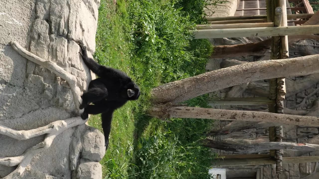 Dubai Safari Park  - Image 8