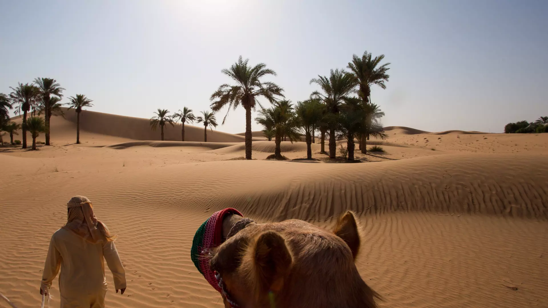 Desert Safari in Dubai + Red Sands Camp - Photo 33