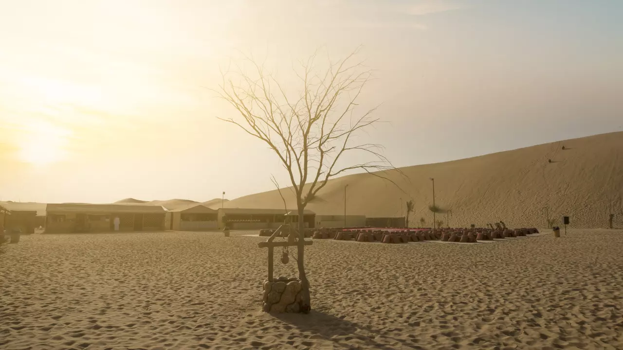 Desert Safari in Abu Dhabi - Image 2