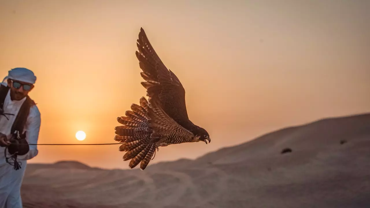 Sonara Camp - Image 8