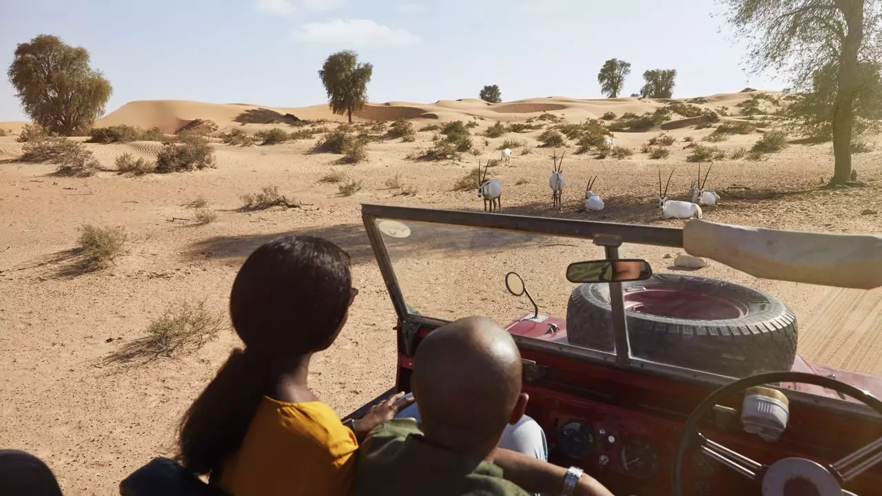 Heritage Safari - Image 6