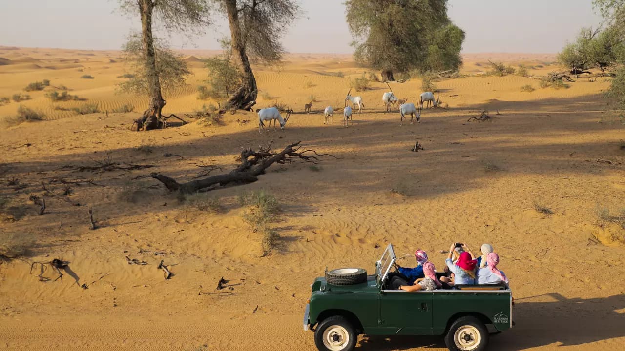 Heritage Safari - Image 7