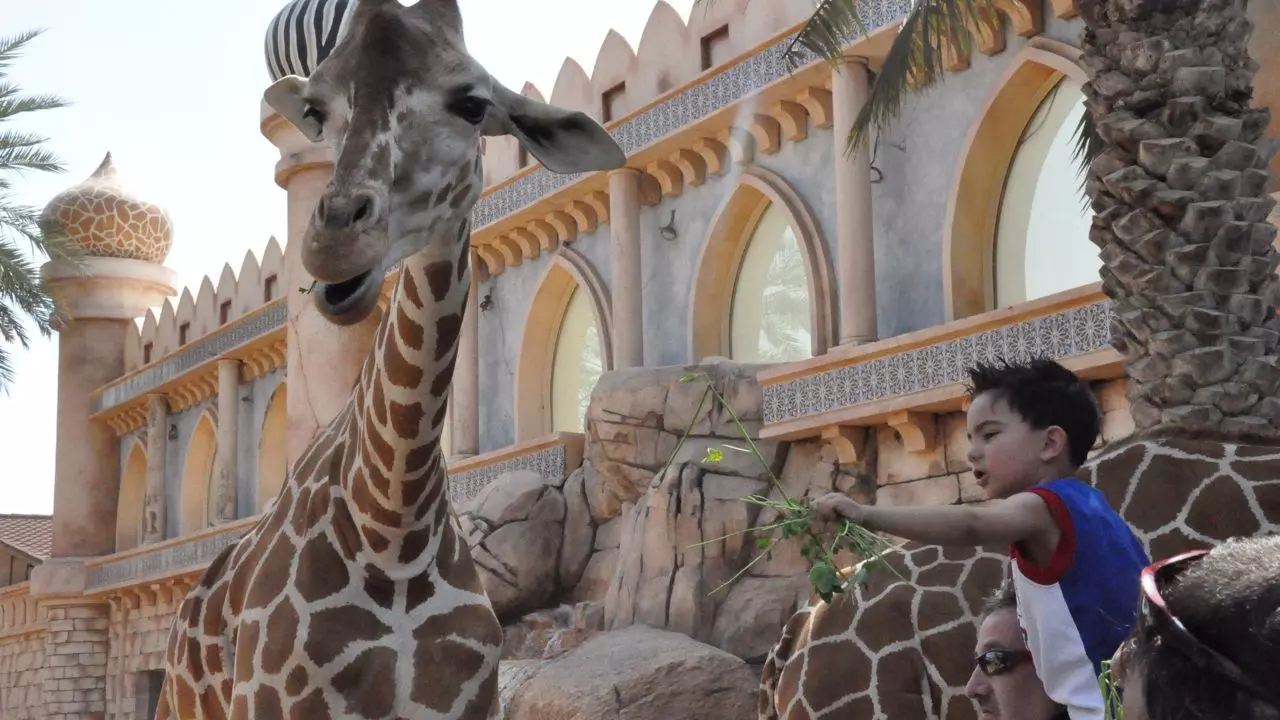 Abu Dhabi Emirates Park Zoo - Image 5