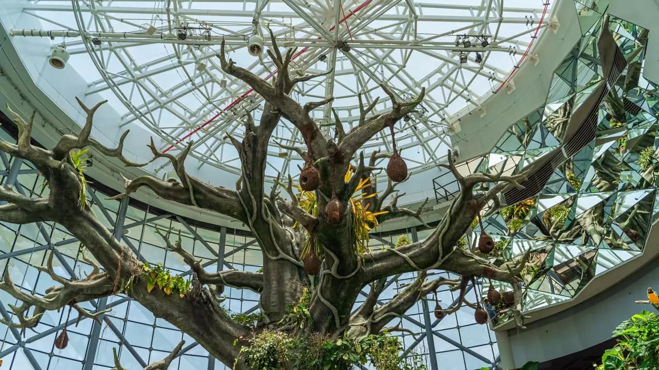 The Green Planet - Image 5