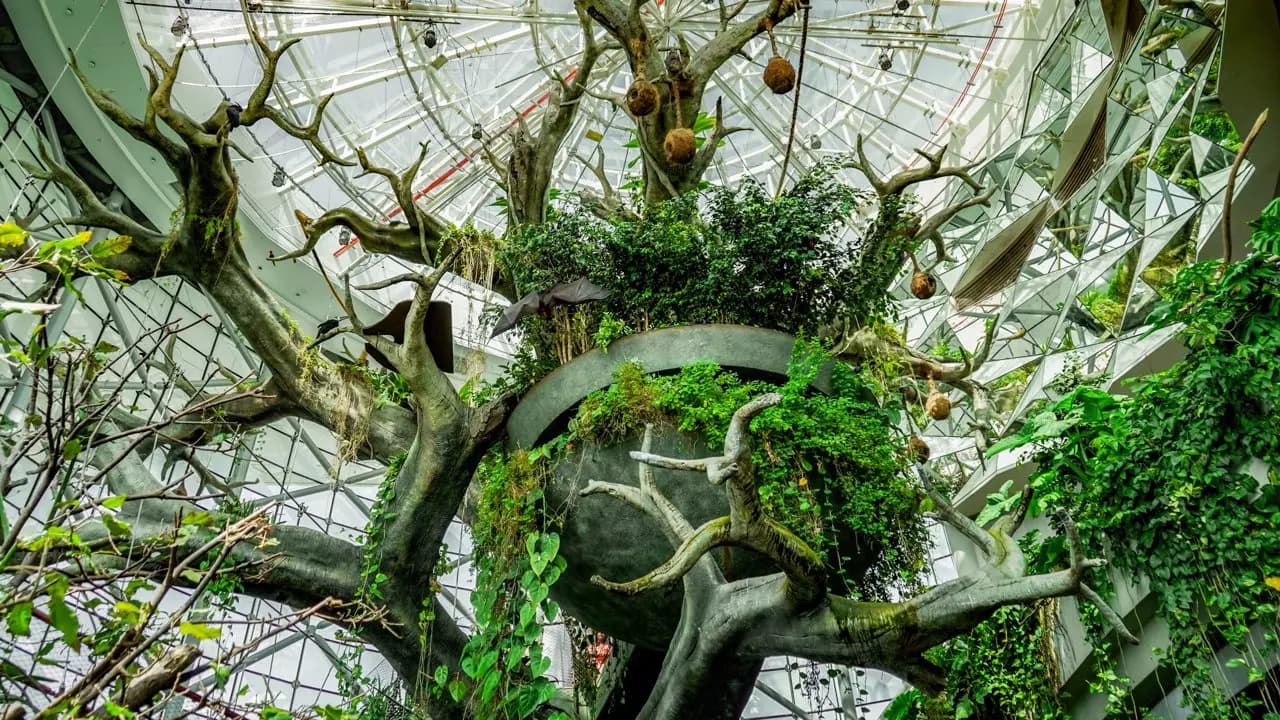 The Green Planet - Image 6