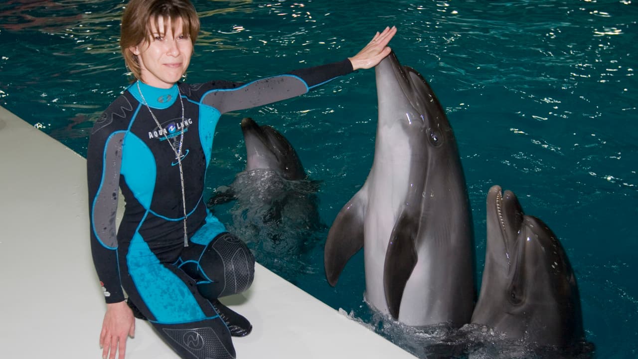 Dubai Dolphinarium