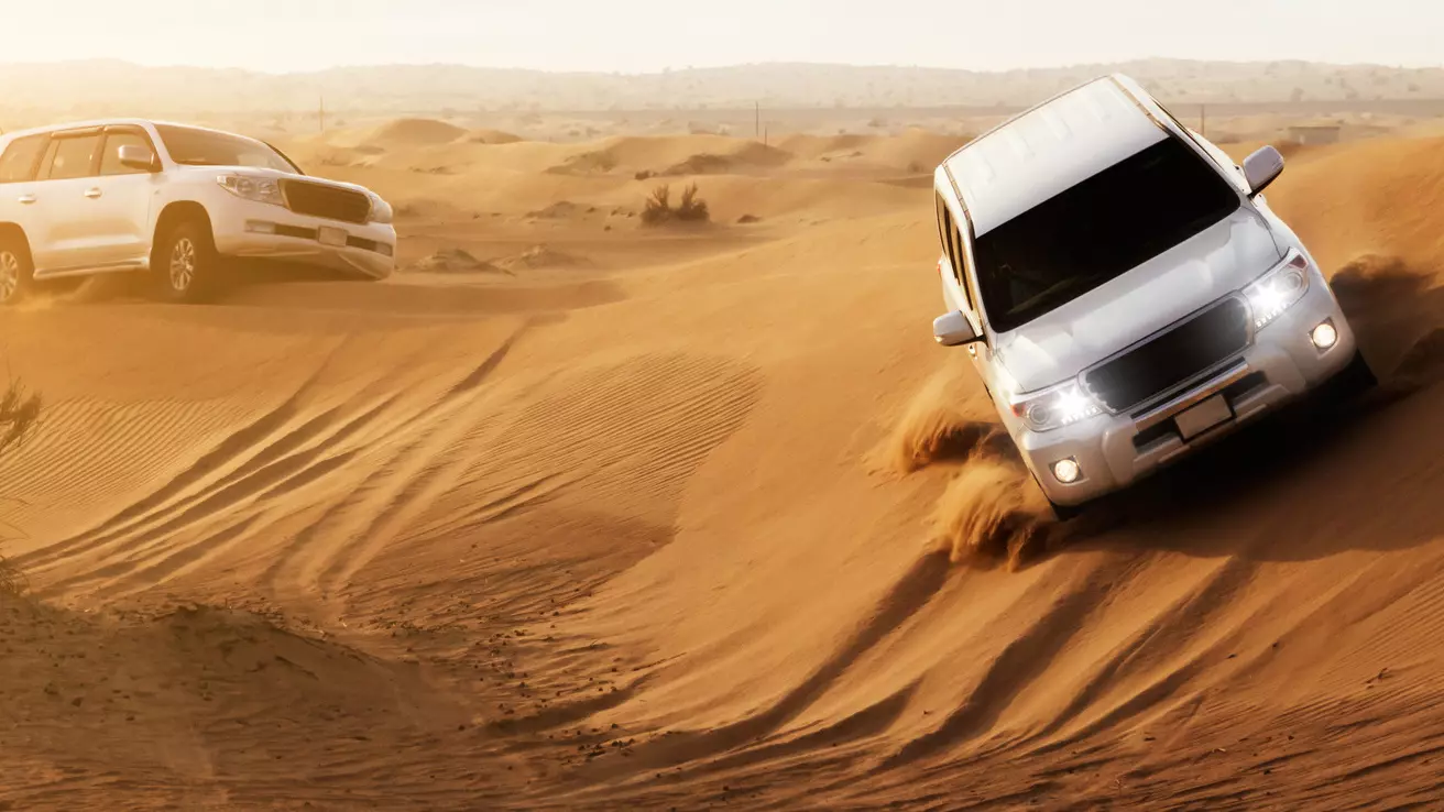 Morning Desert Safari Dubai  - Photo 9