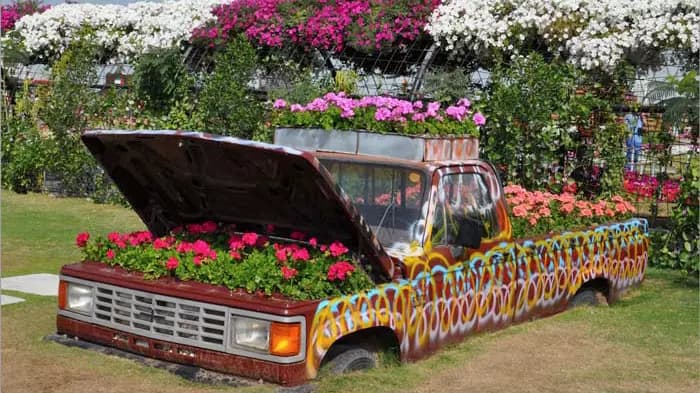 Dubai Miracle Garden - Image 4
