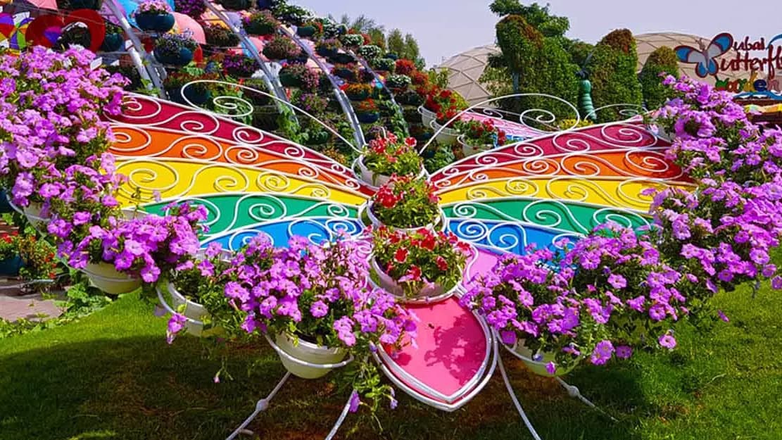 Dubai Butterfly Garden - Image 6