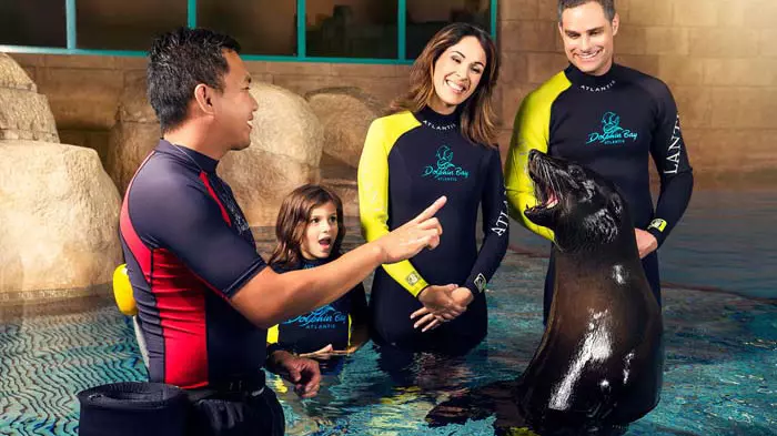 Dolphin Bay at Atlantis the Palm - Image 2