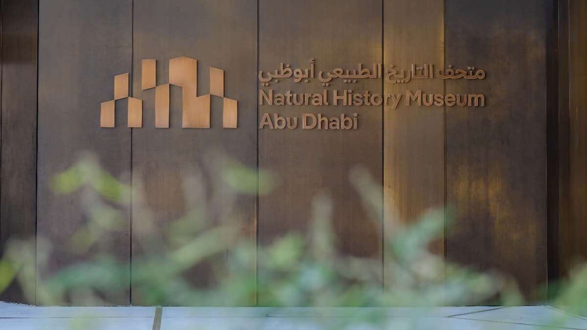 Natural History Museum, Abu-Dhabi - Image 8
