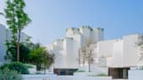 Natural History Museum, Abu-Dhabi - Photo 14