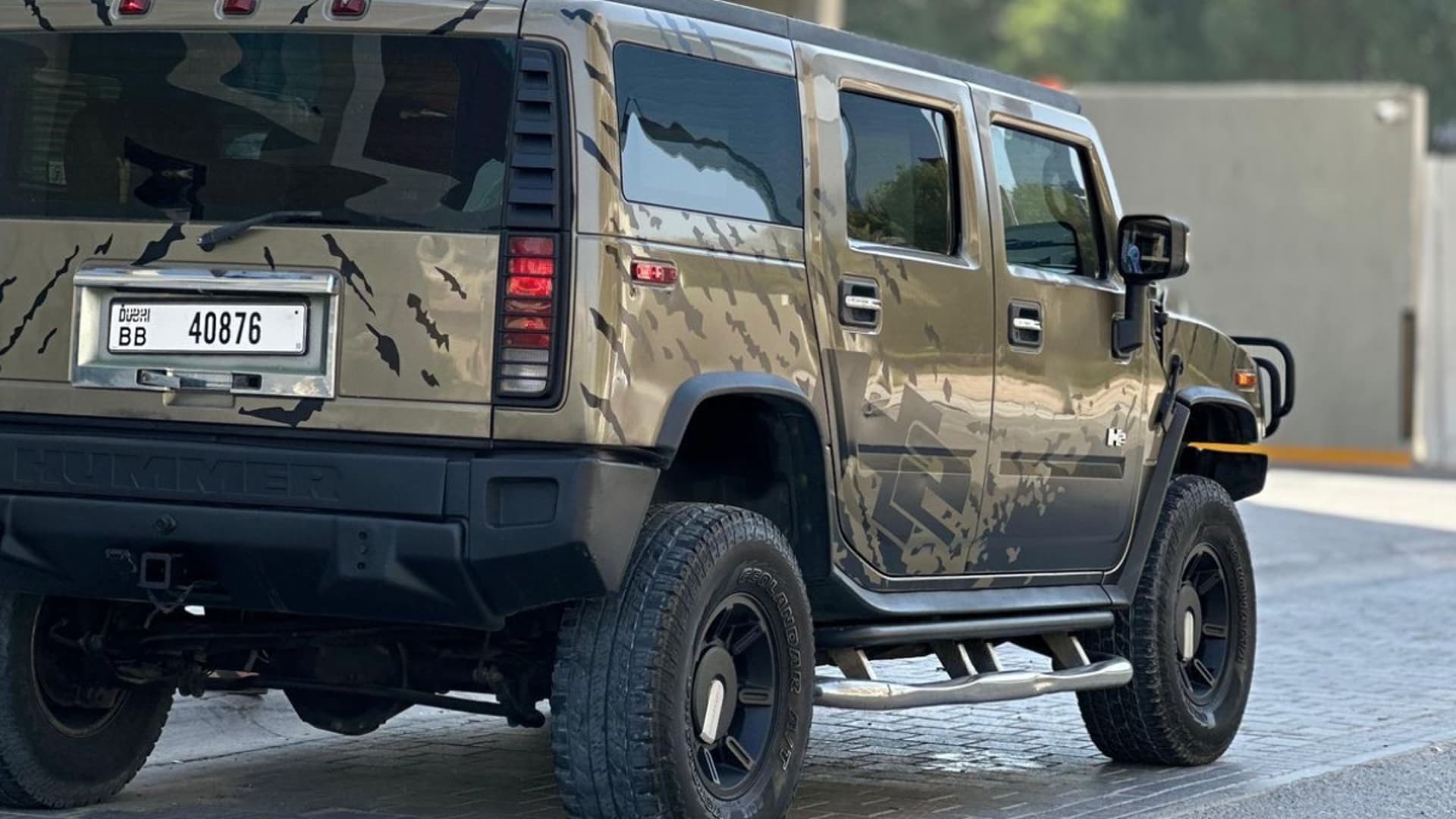 Hummer H2 Desert Safari - Photo 21