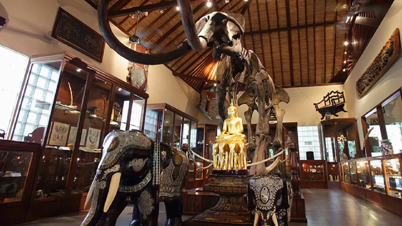 Mason Elephant Park Bali by Mason Adventures (Formerly known as Elephant Safari Park) - Photo 11