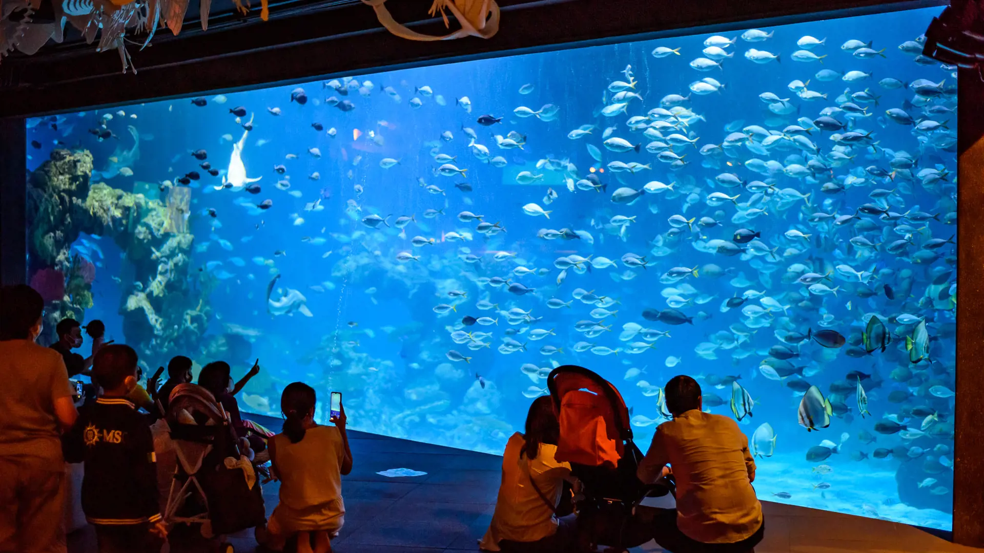Aquaria Phuket - Photo 38