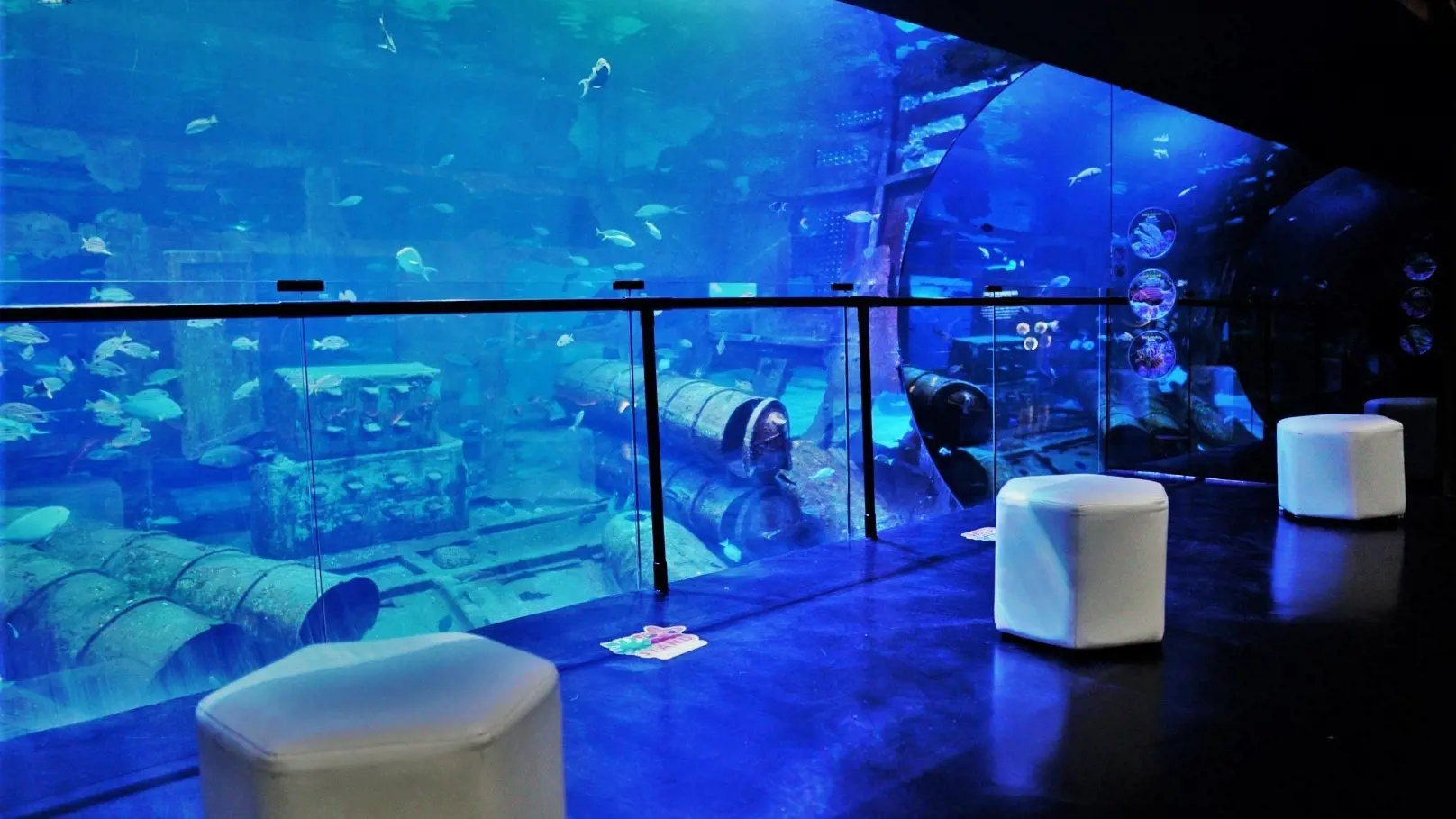 Aquaria Phuket - Photo 41