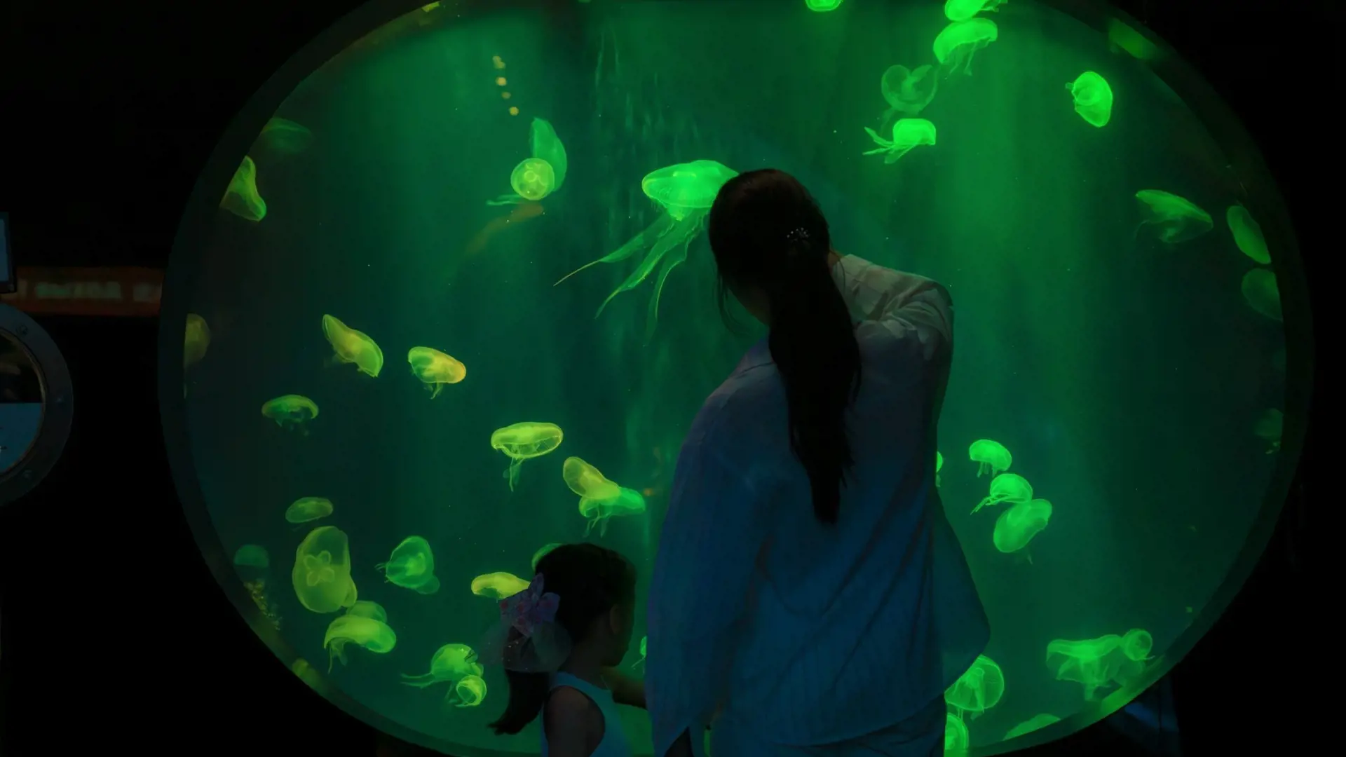 Aquaria Phuket - Photo 59
