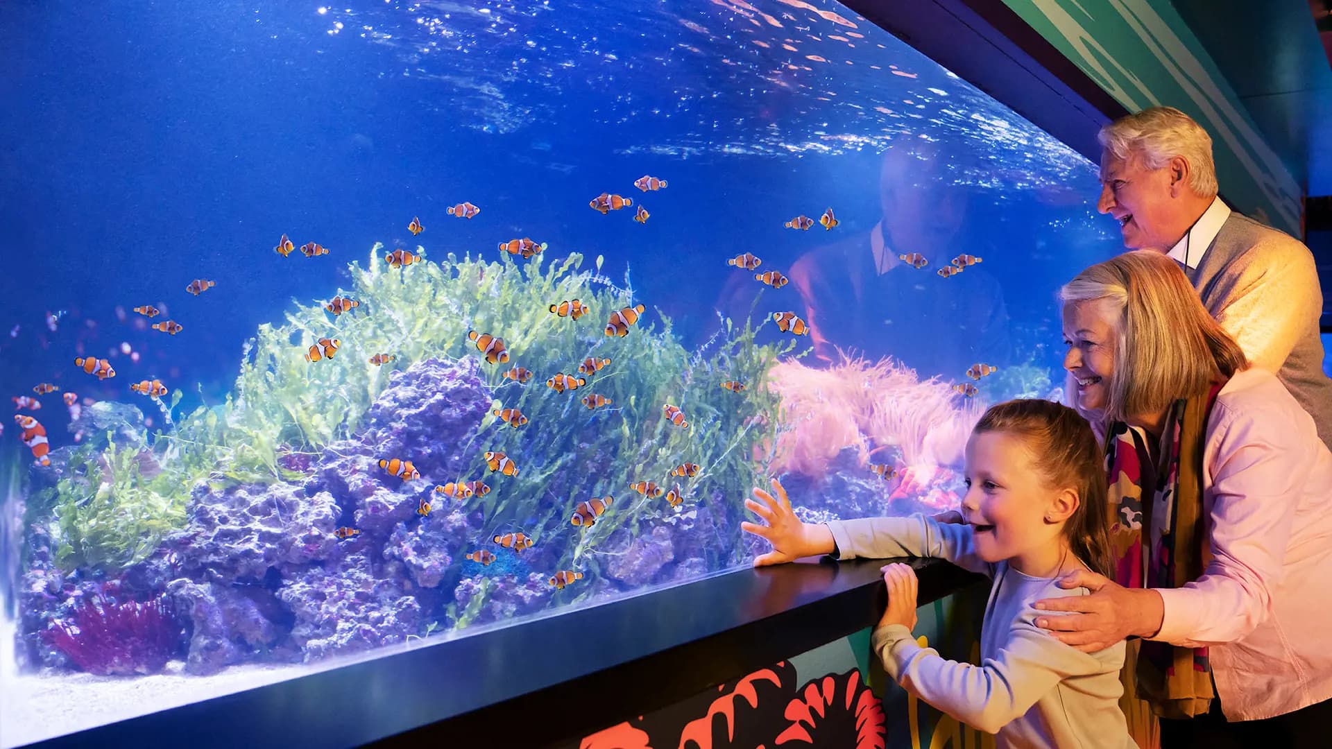SEA LIFE London Aquarium Ticket - Photo 21
