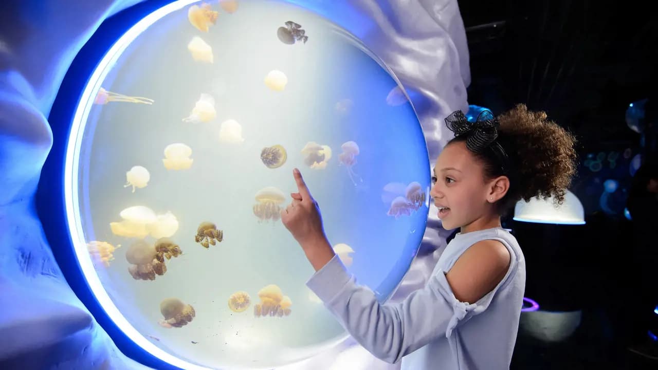 SEA LIFE London Aquarium Ticket - Photo 7