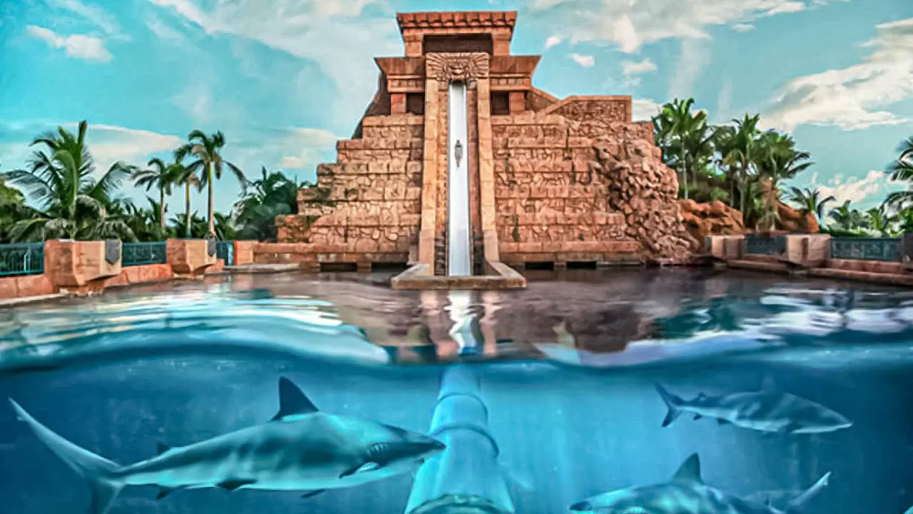 Aquaventure World Waterpark - Photo 7