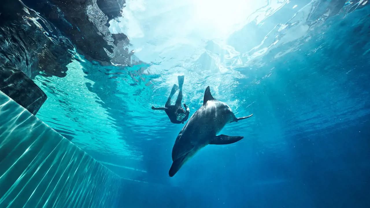 Singapore Oceanarium Ticket - Photo 17