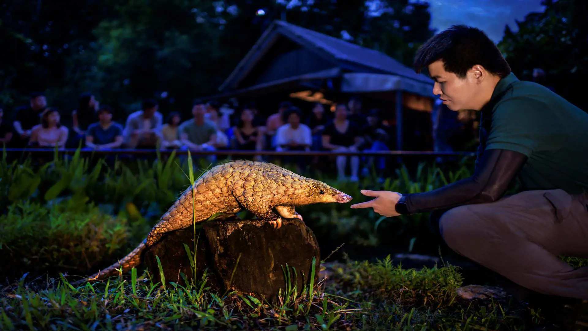 Singapore Night Safari Ticket - Photo 26