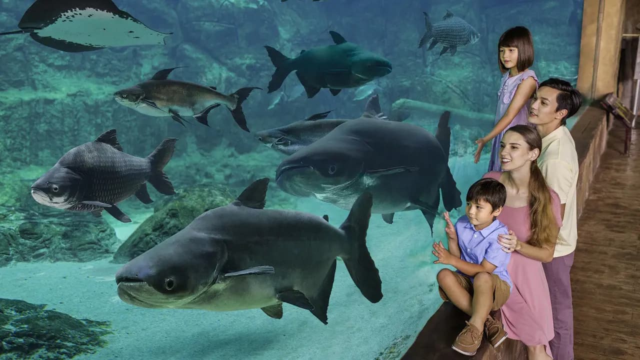 River Wonders Singapore Ticket - Photo 21