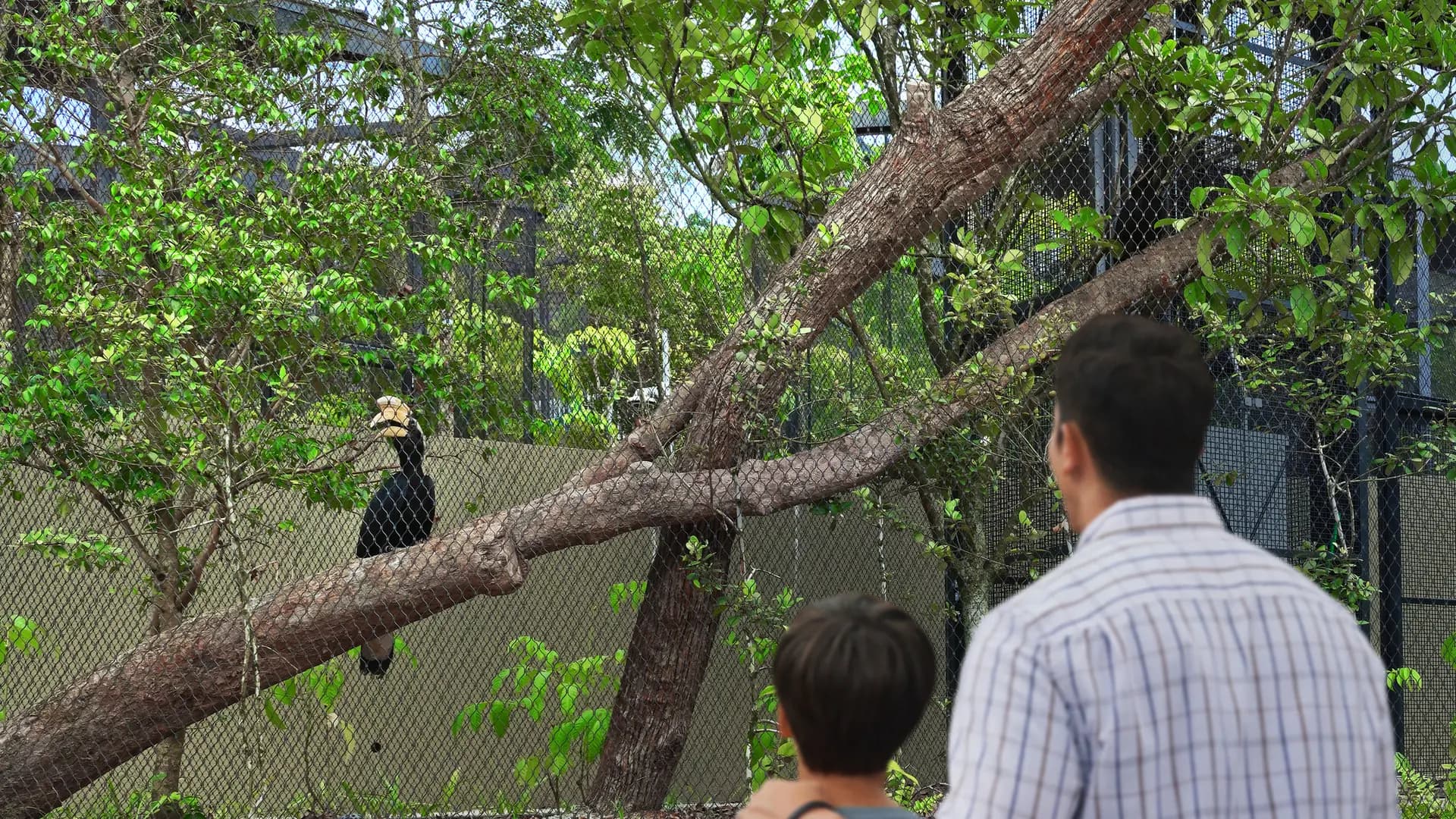 Singapore Bird Paradise Ticket - Photo 31