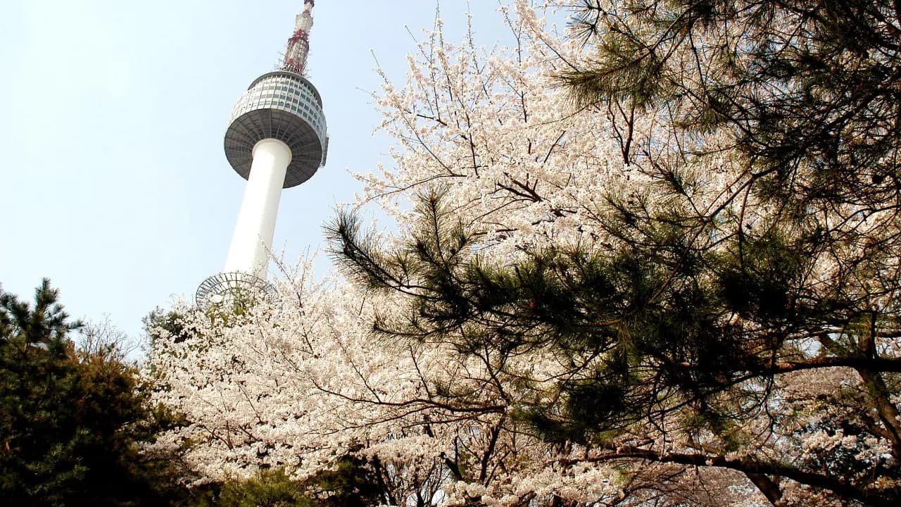 COMBO: AREX Incheon Airport Express Train + N Seoul Tower Observatory - Photo 10
