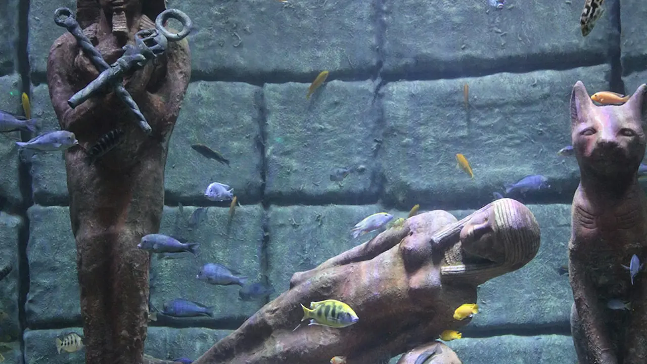 Antalya Aquarium and Face 2 Face Wax Museum Ticket - Photo 4