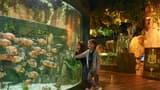 Emaar Aquarium and Underwater Zoo Ticket - Photo 8