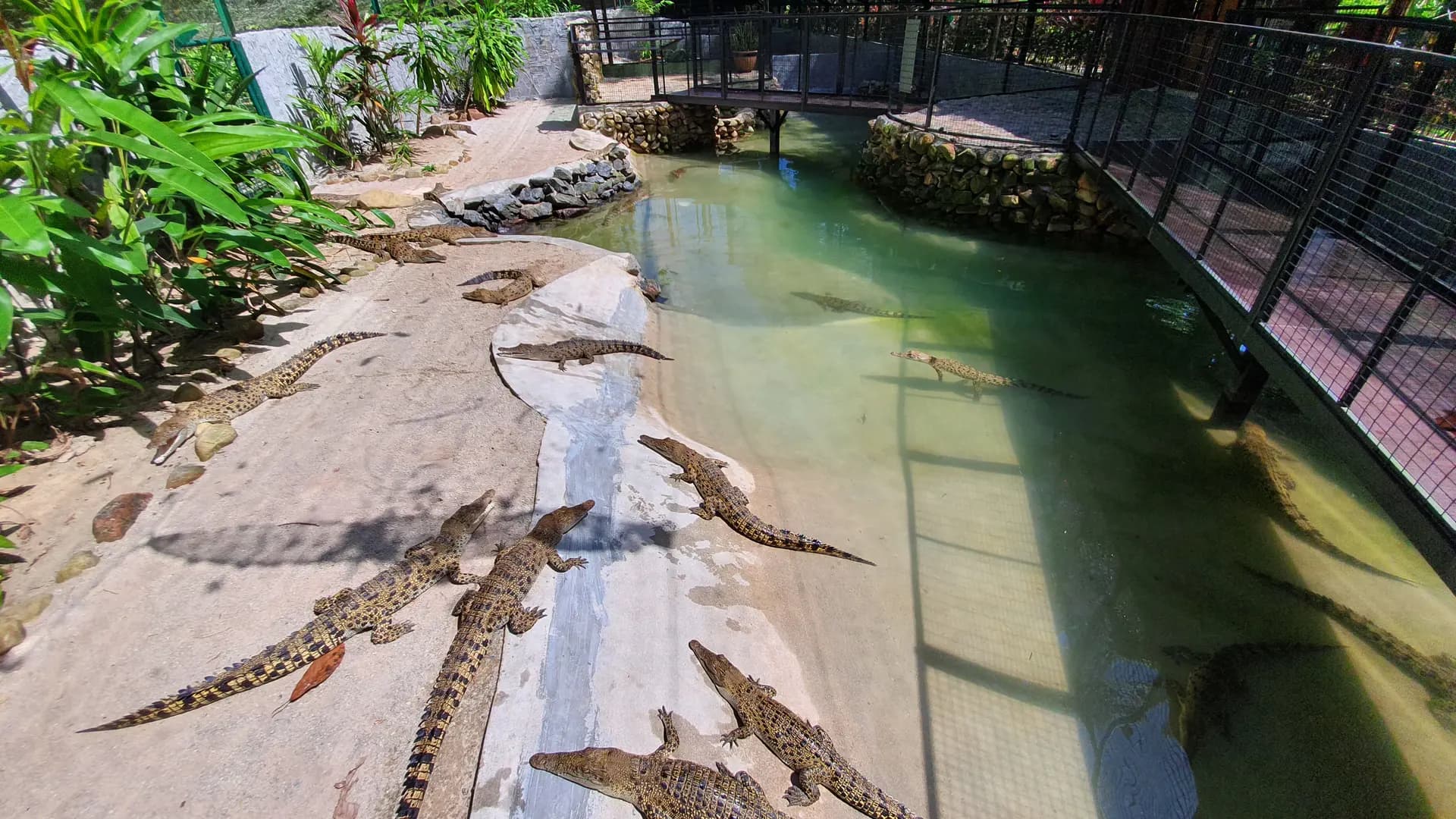 Crocodile Adventureland Langkawi - Photo 25