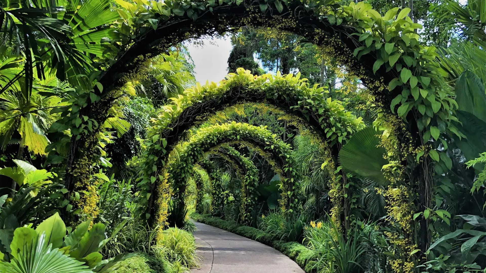 National Orchid Garden Ticket - Photo 29