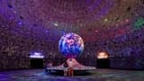 Exploria in Mandai Singapore Ticket - Photo 16