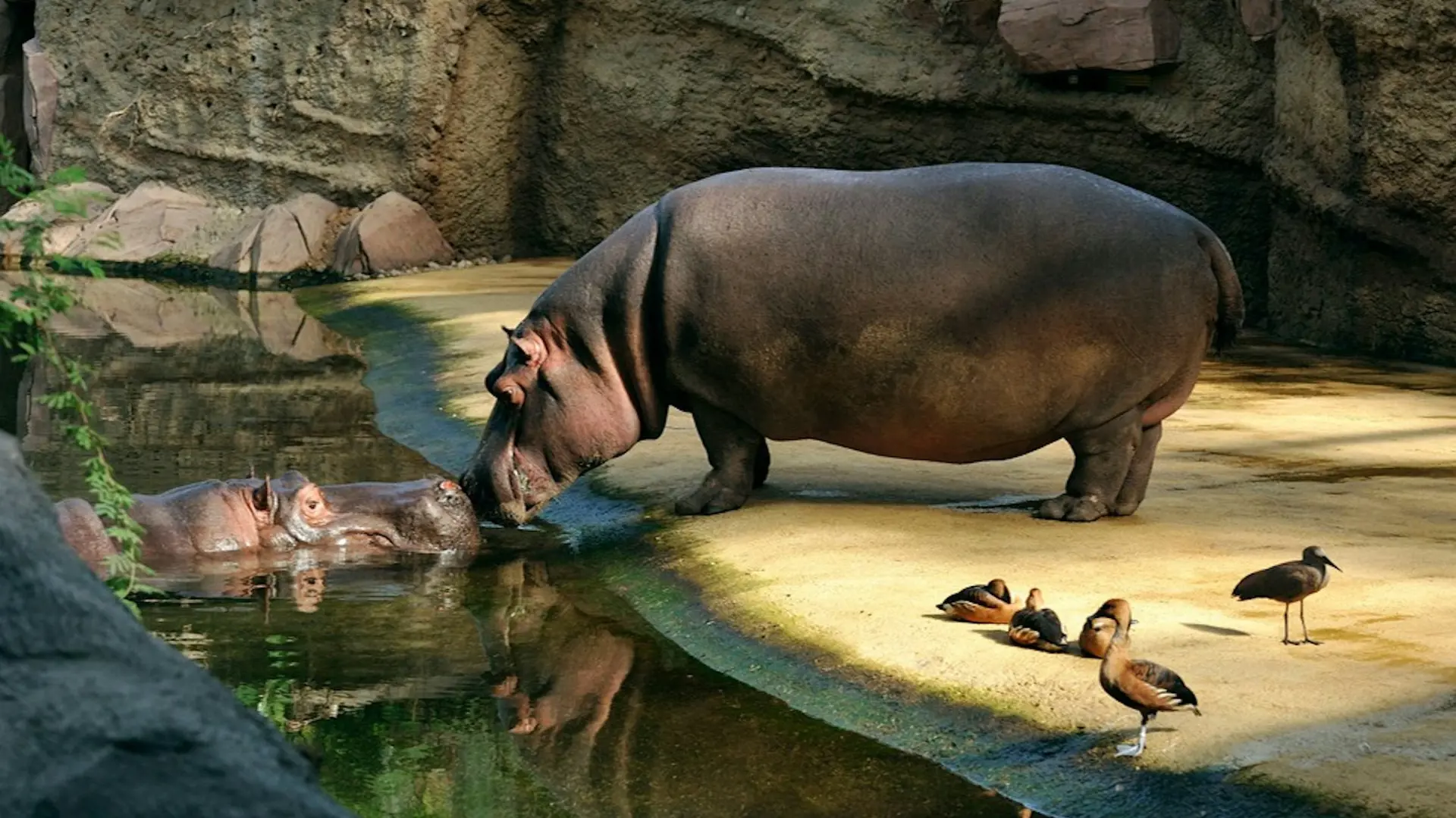 Cologne Zoo & Aquarium Ticket - Photo 18