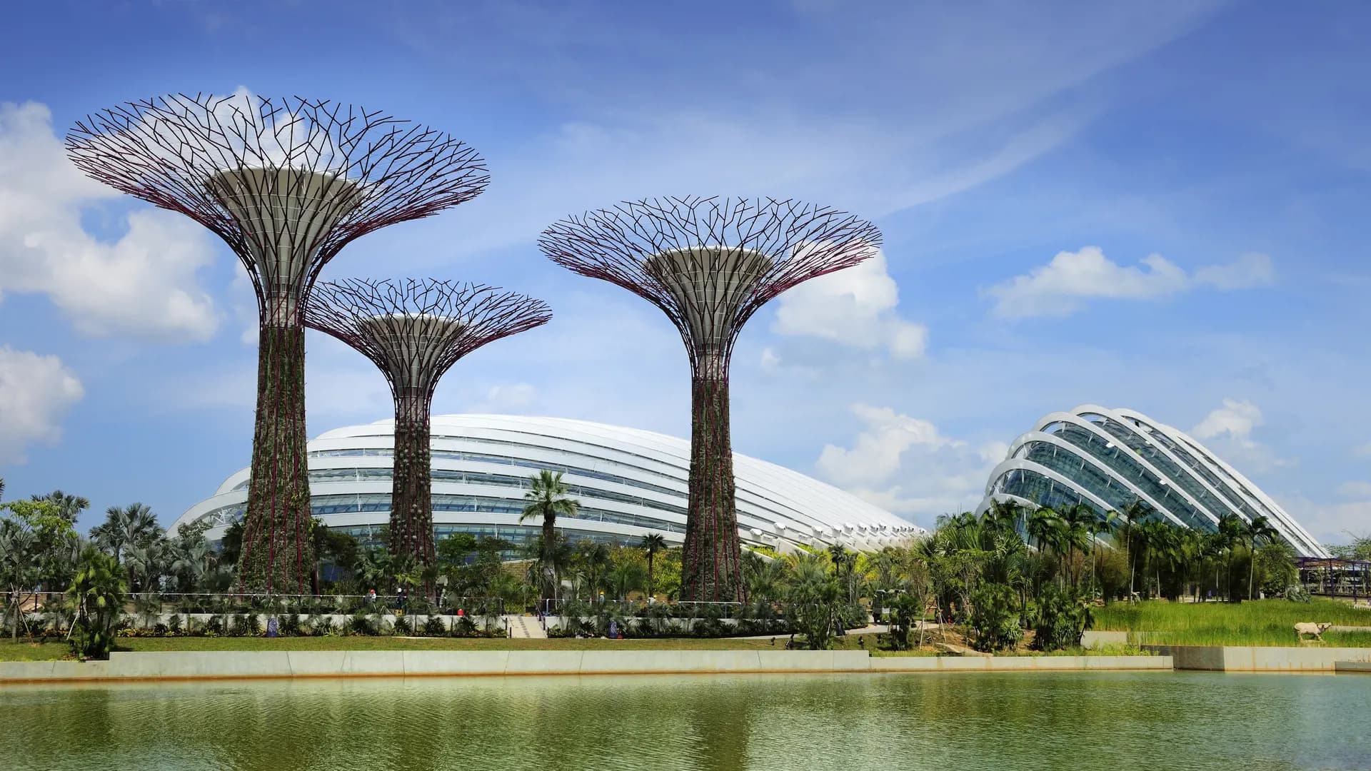 Gardens by the Bay Ticket - Photo 35