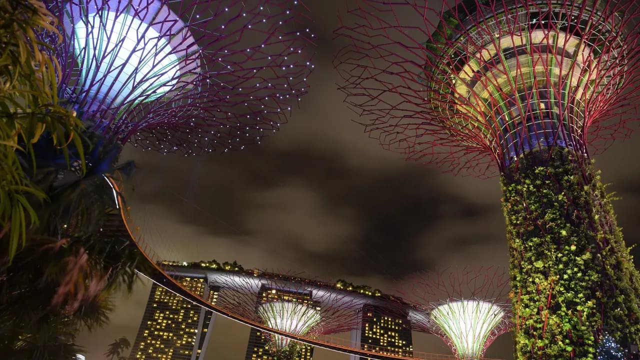 Gardens by the Bay Ticket - Photo 20