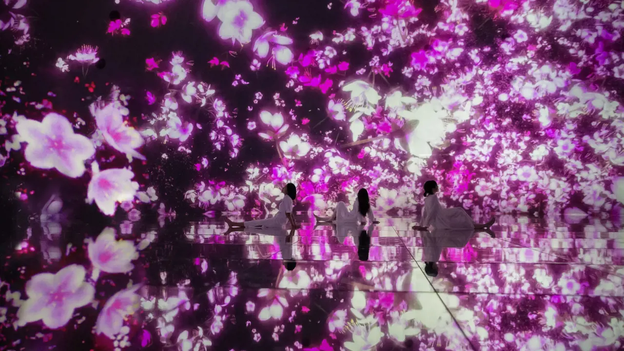 teamLab Planets TOKYO Ticket