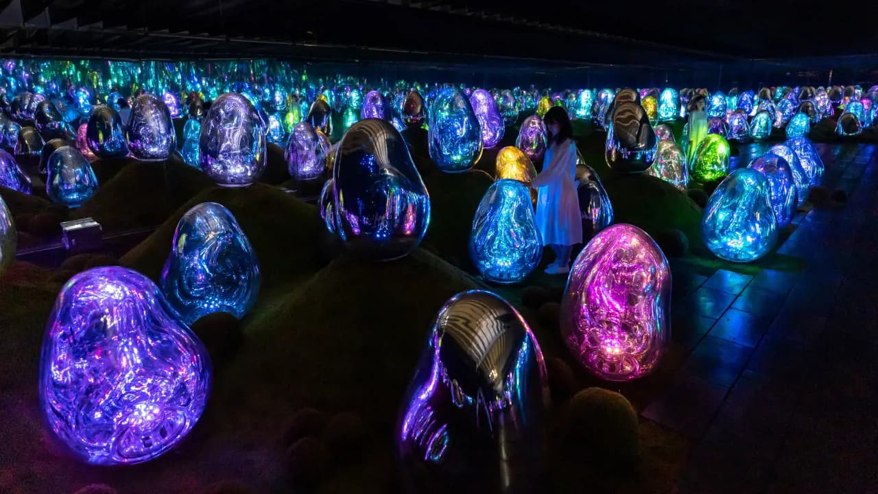 teamLab Planets TOKYO Ticket - Photo 4