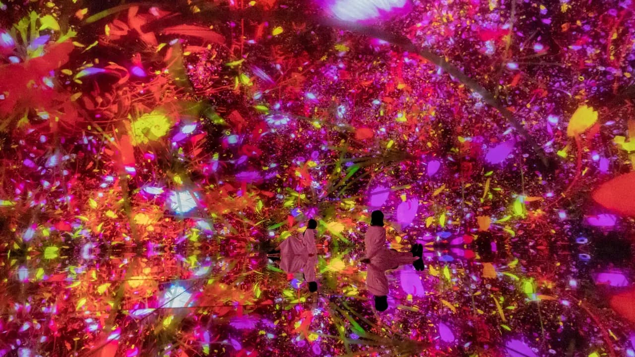 teamLab Planets TOKYO Ticket - Photo 30