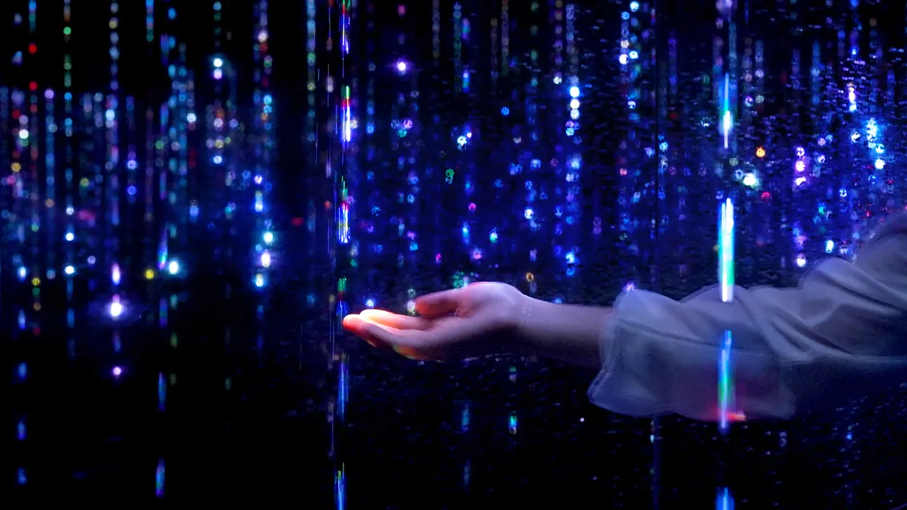 teamLab Planets TOKYO Ticket - Photo 8