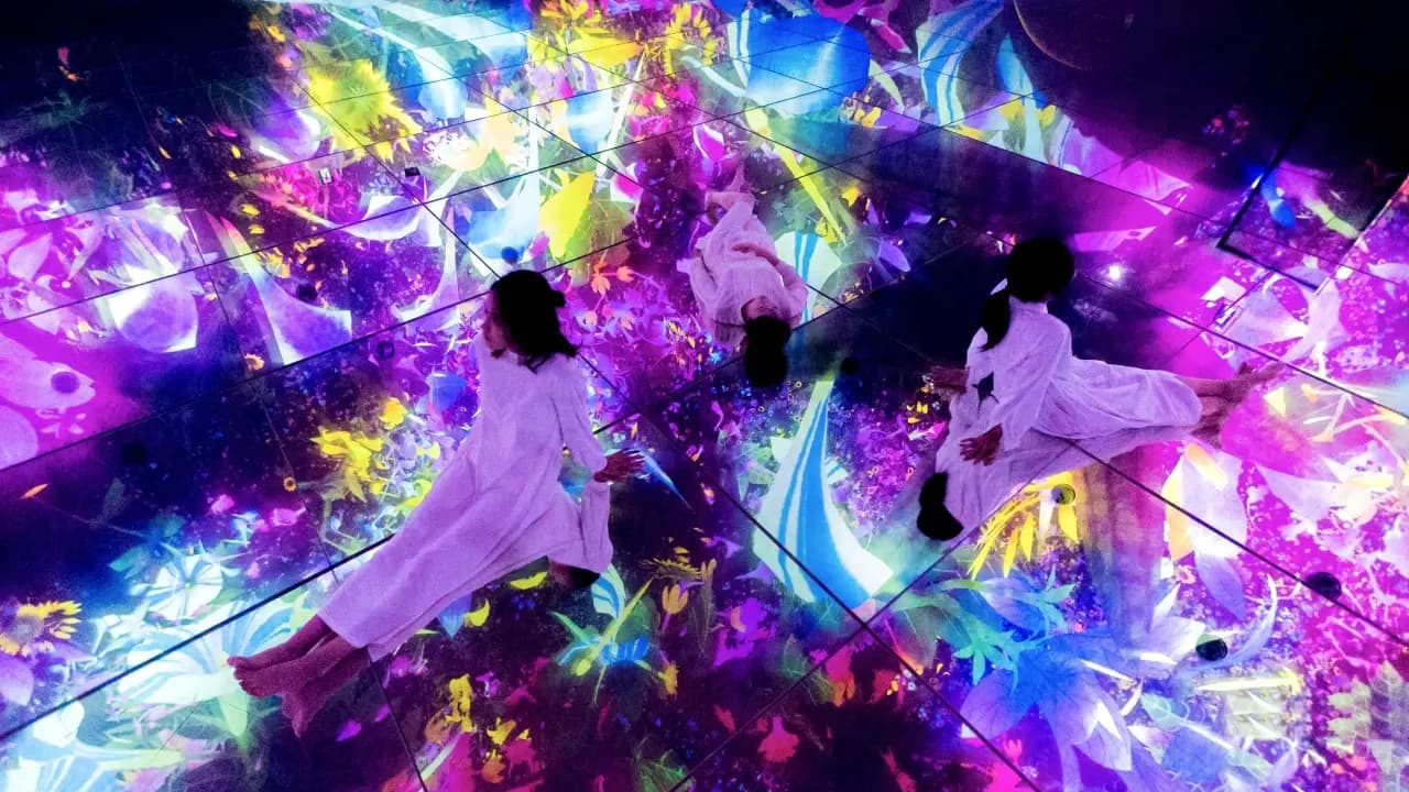 teamLab Planets TOKYO Ticket - Photo 34