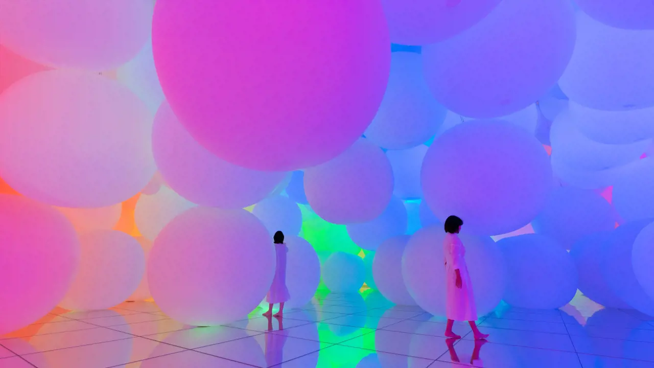 teamLab Planets TOKYO Ticket - Photo 13