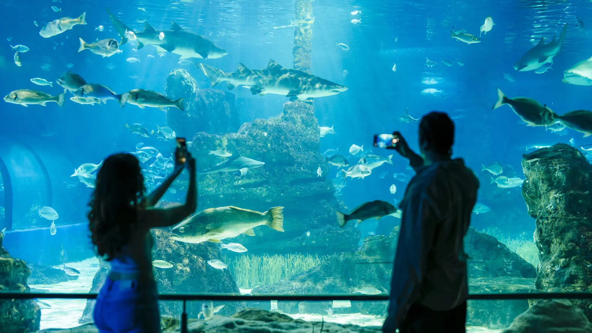 Barcelona Aquarium Ticket - Photo 21