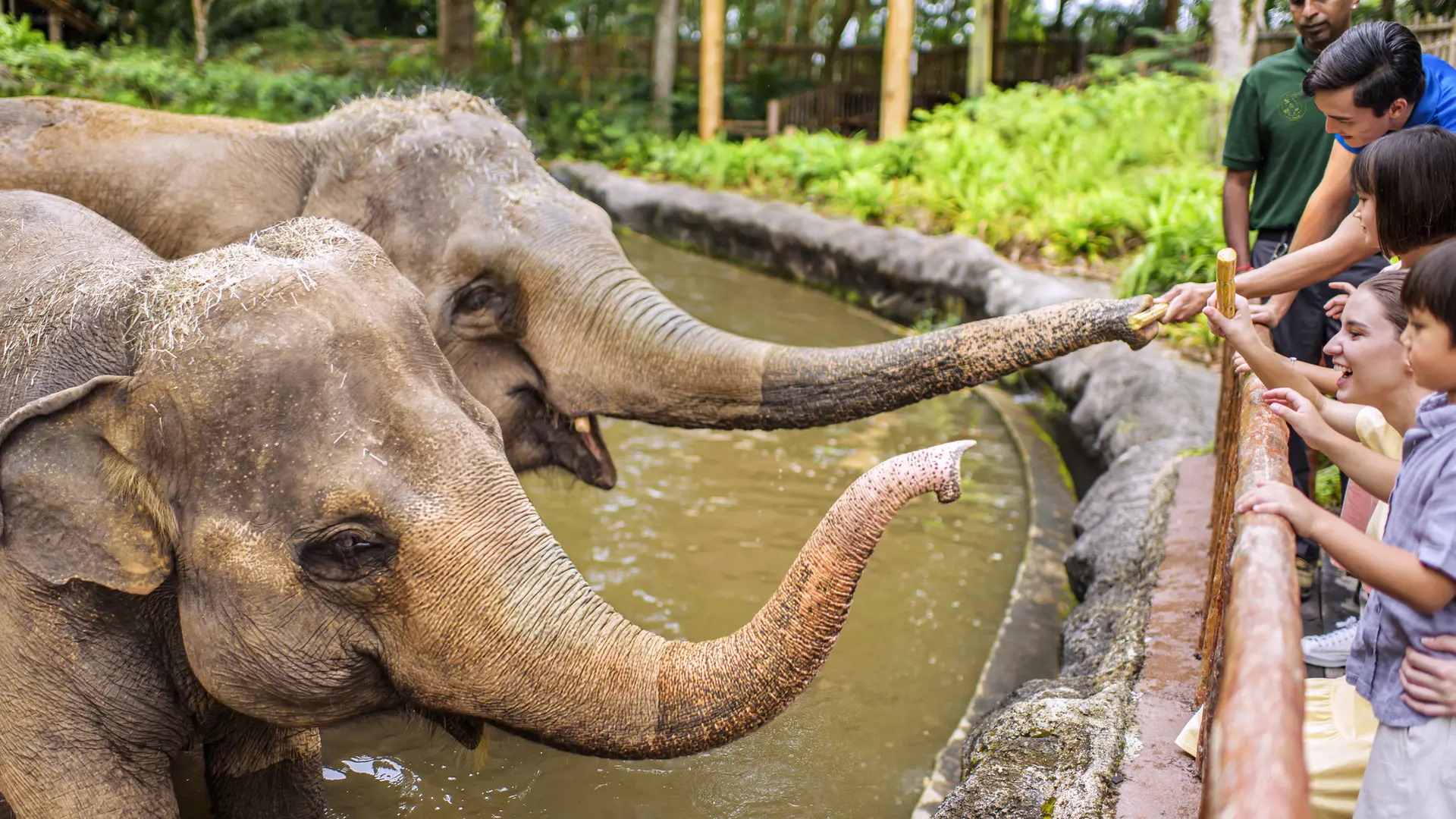 Singapore Zoo Ticket - Photo 23