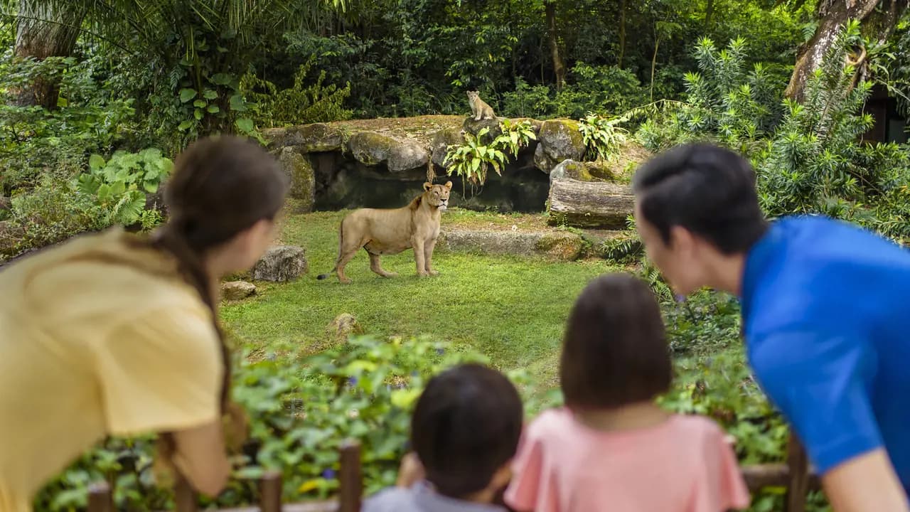 Singapore Zoo Ticket - Photo 12