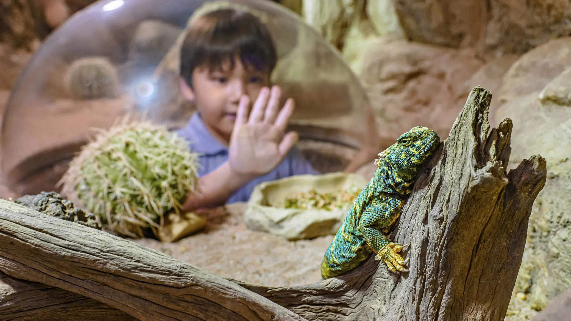 Singapore Zoo Ticket - Photo 31